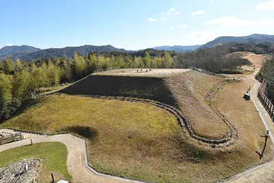 Nishidani Tumulus Cluster