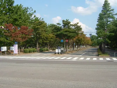 Seibu Ryokuchi Park