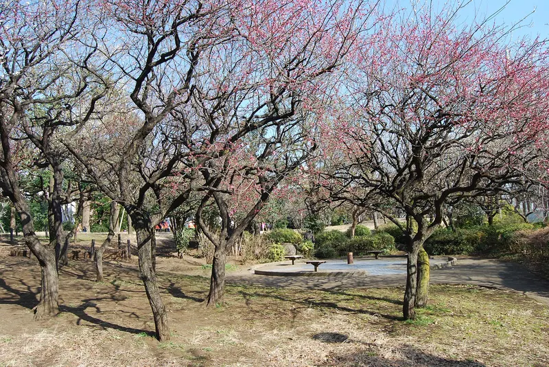 Saigōyama Park