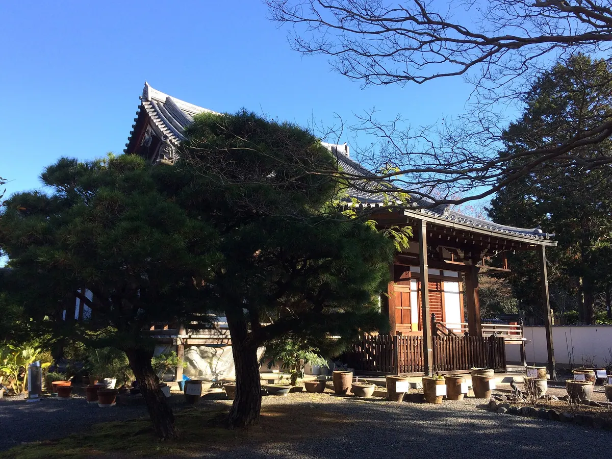 Saiun-in