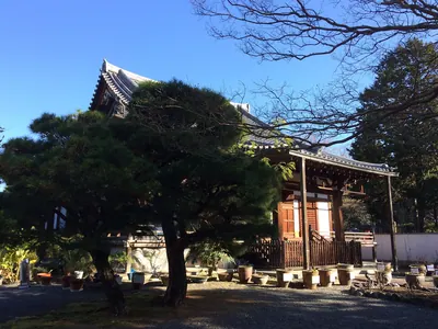 Saiun-in