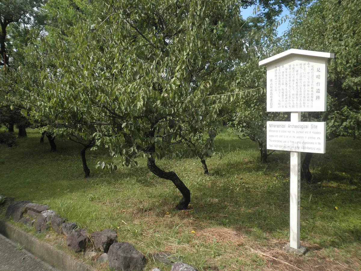 Miharashidai Site