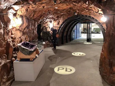 Toyohashi Museum of Natural Resources