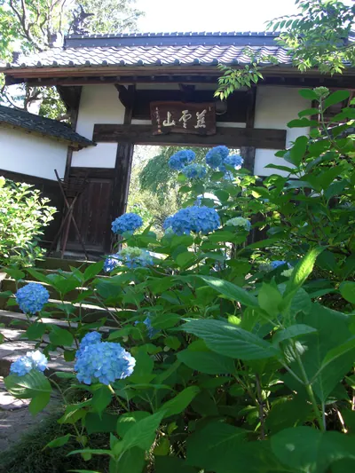 Shifuku-ji Temple