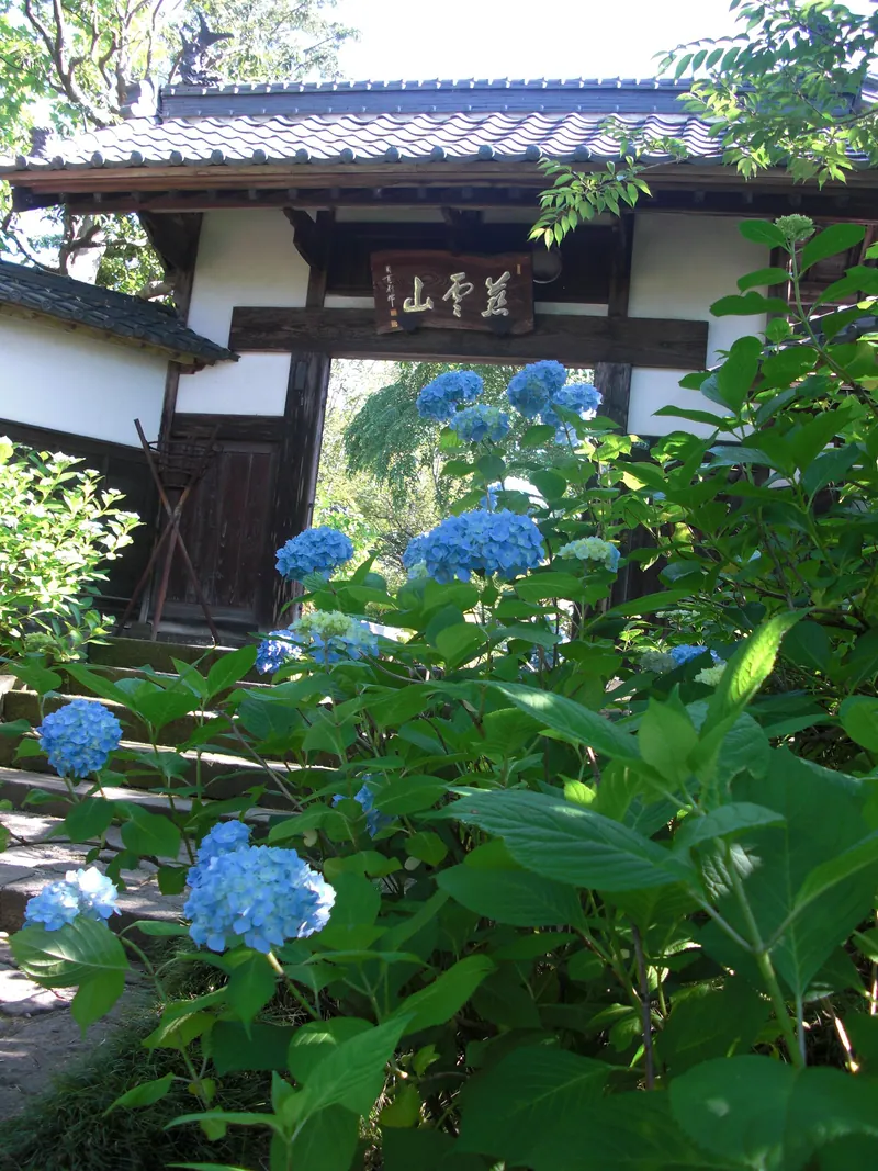 Shifuku-ji Temple