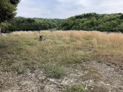 Akasakaimai Tumuli