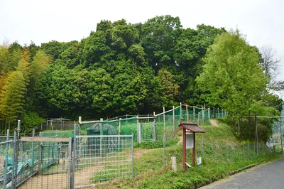 Akasaka Tennōzan Kofun