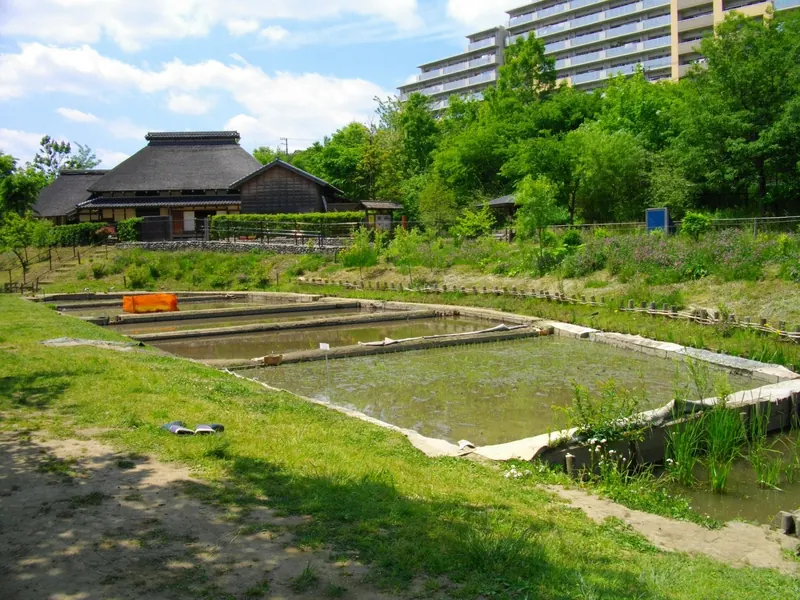 Akabane Nature Observatory Park