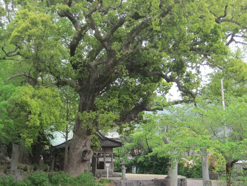 Chikōzu Kashima Shrine