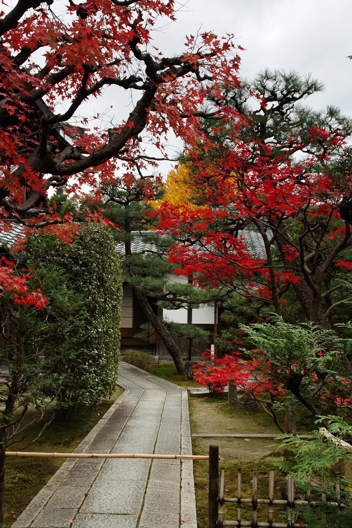 Taikō-an