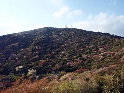 Mount Kinkan