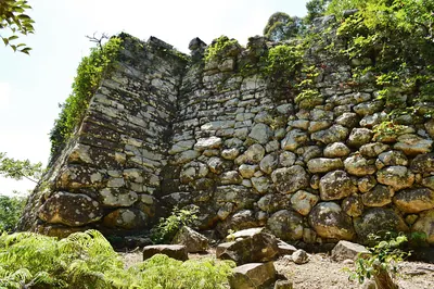 Kaneda Castle