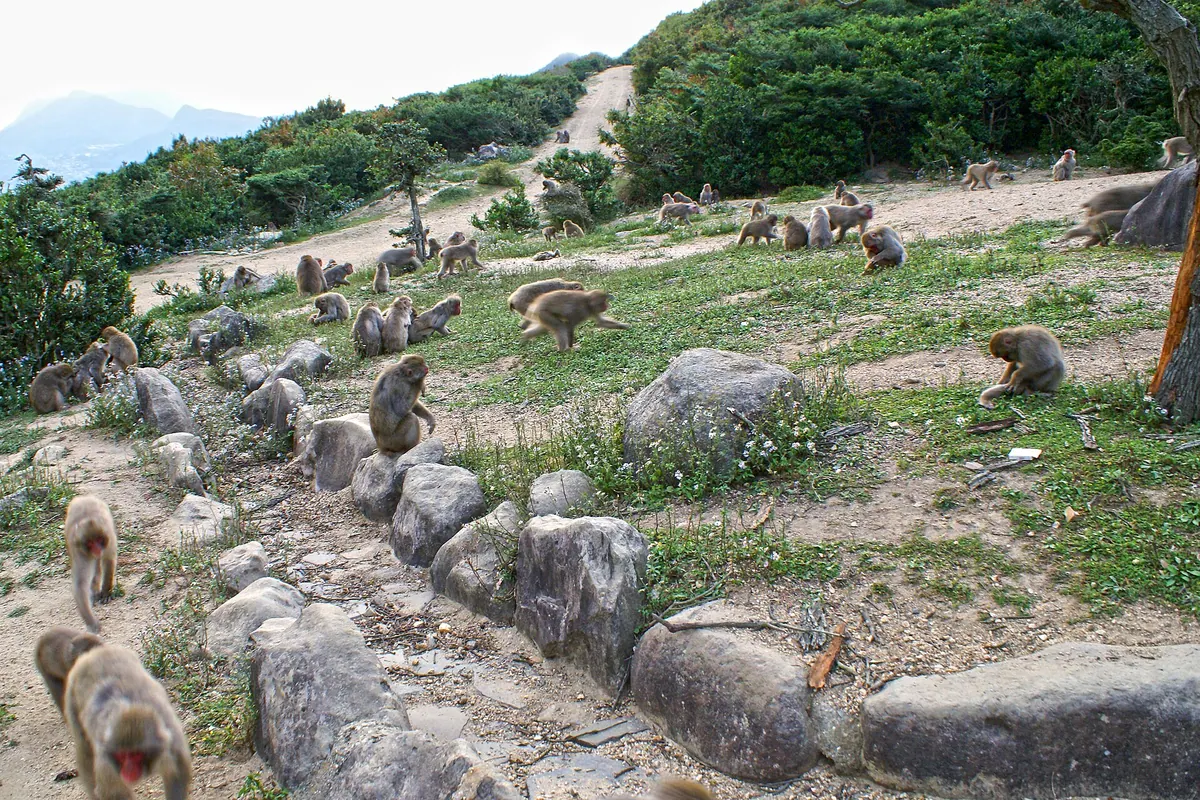 Chōshikei