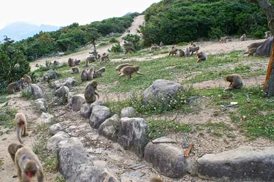 Chōshikei
