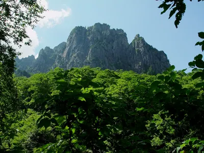 Mount Shakujō