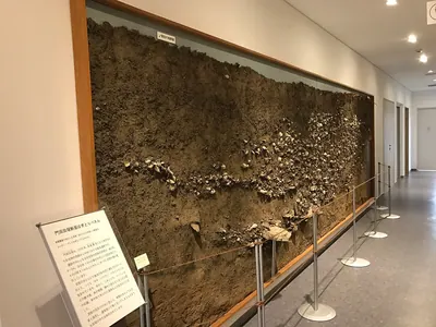 Kadota Shell Mound