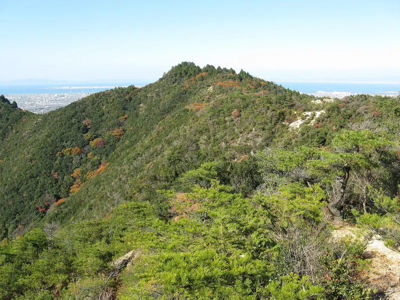 Ameyama