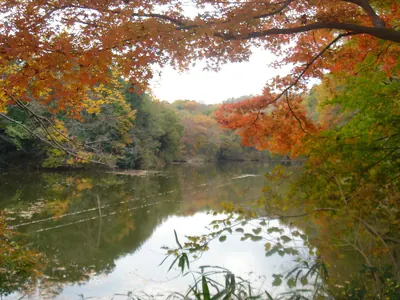 Lake Shinsei