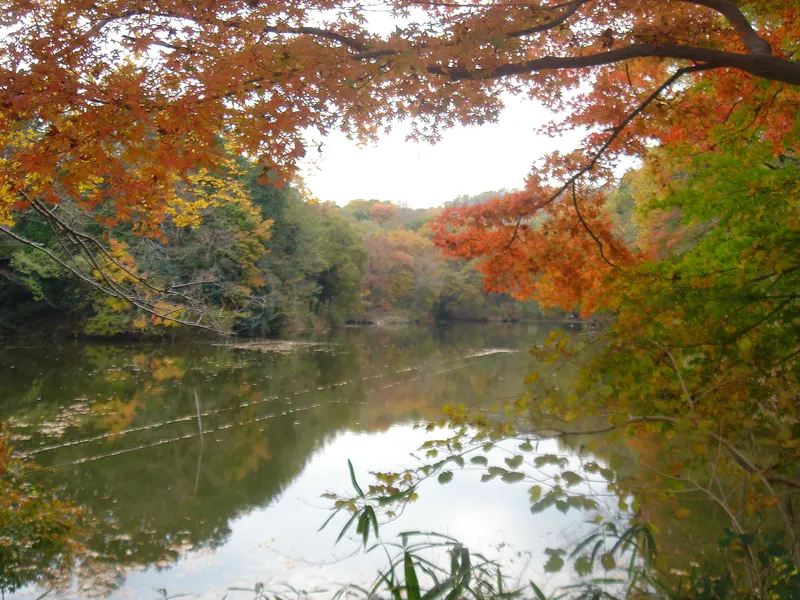 Lake Shinsei