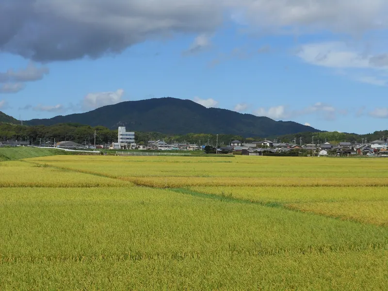 Mount Aonomine