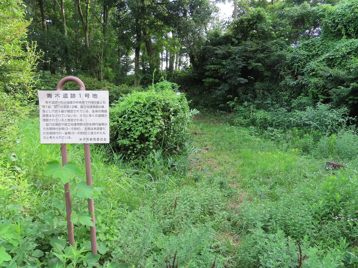 Aoki Site