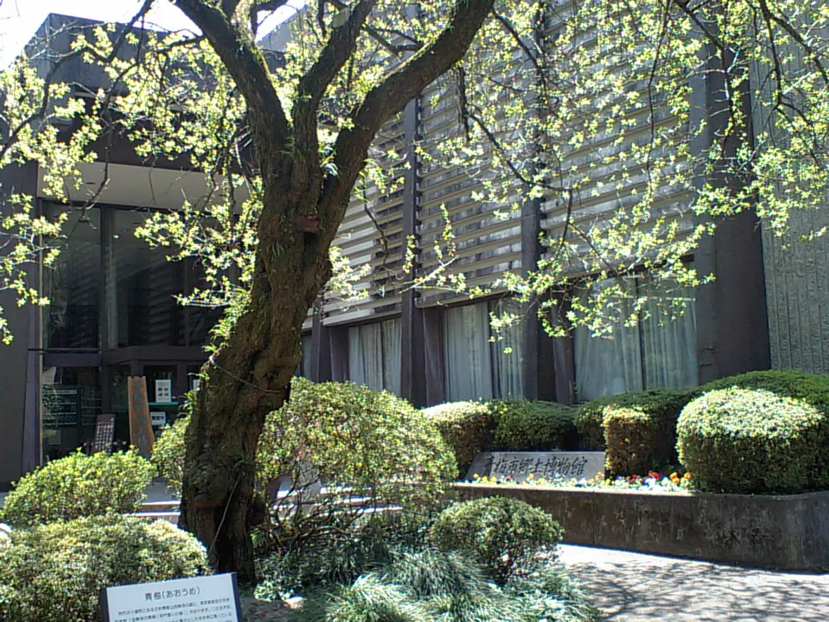Ōme City Provincial History Museum
