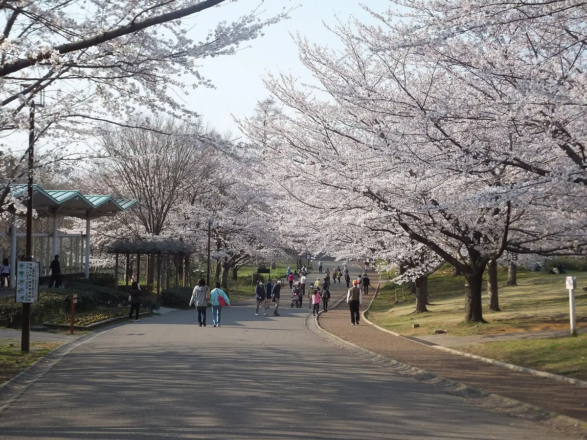 Aobanomori Park