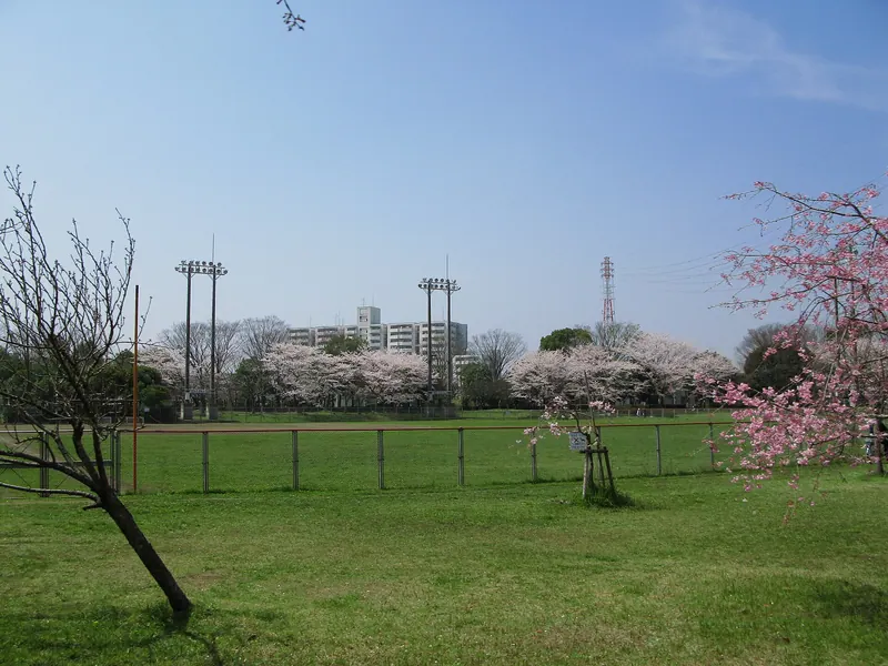 Aoba Park