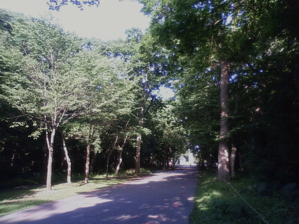 Aoba Park