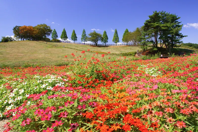 Kuragaike Park