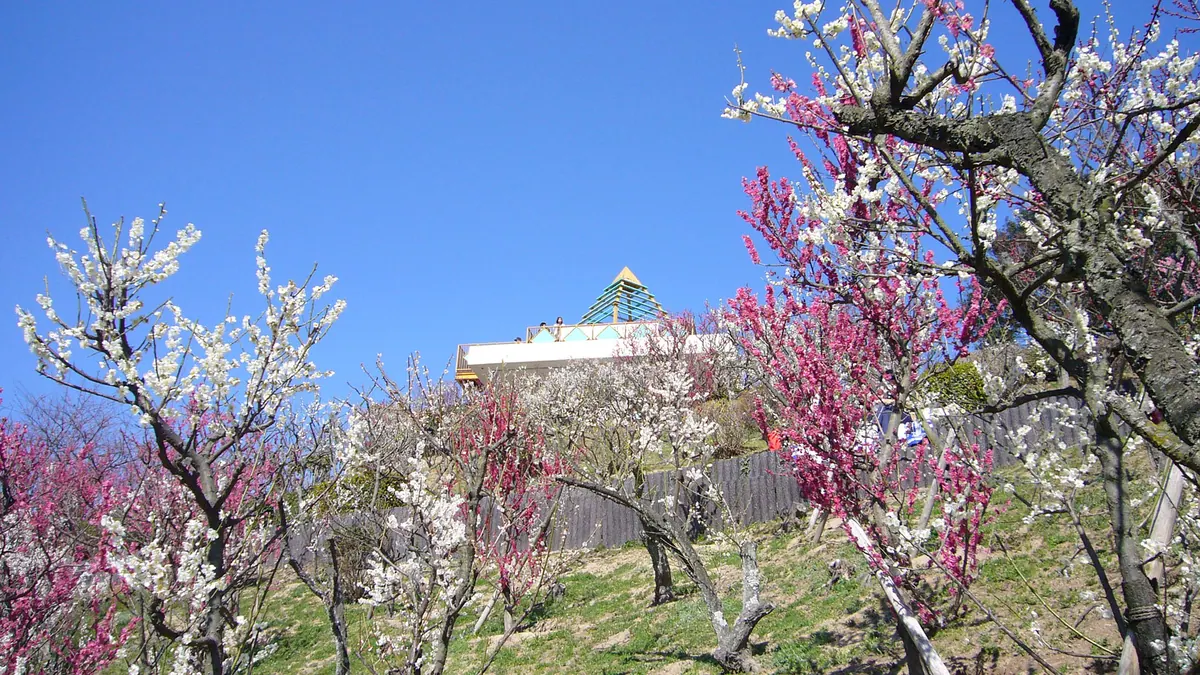 Sumaura Sanjo Amusement Park