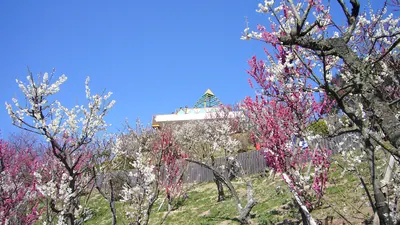 Sumaura Sanjo Amusement Park