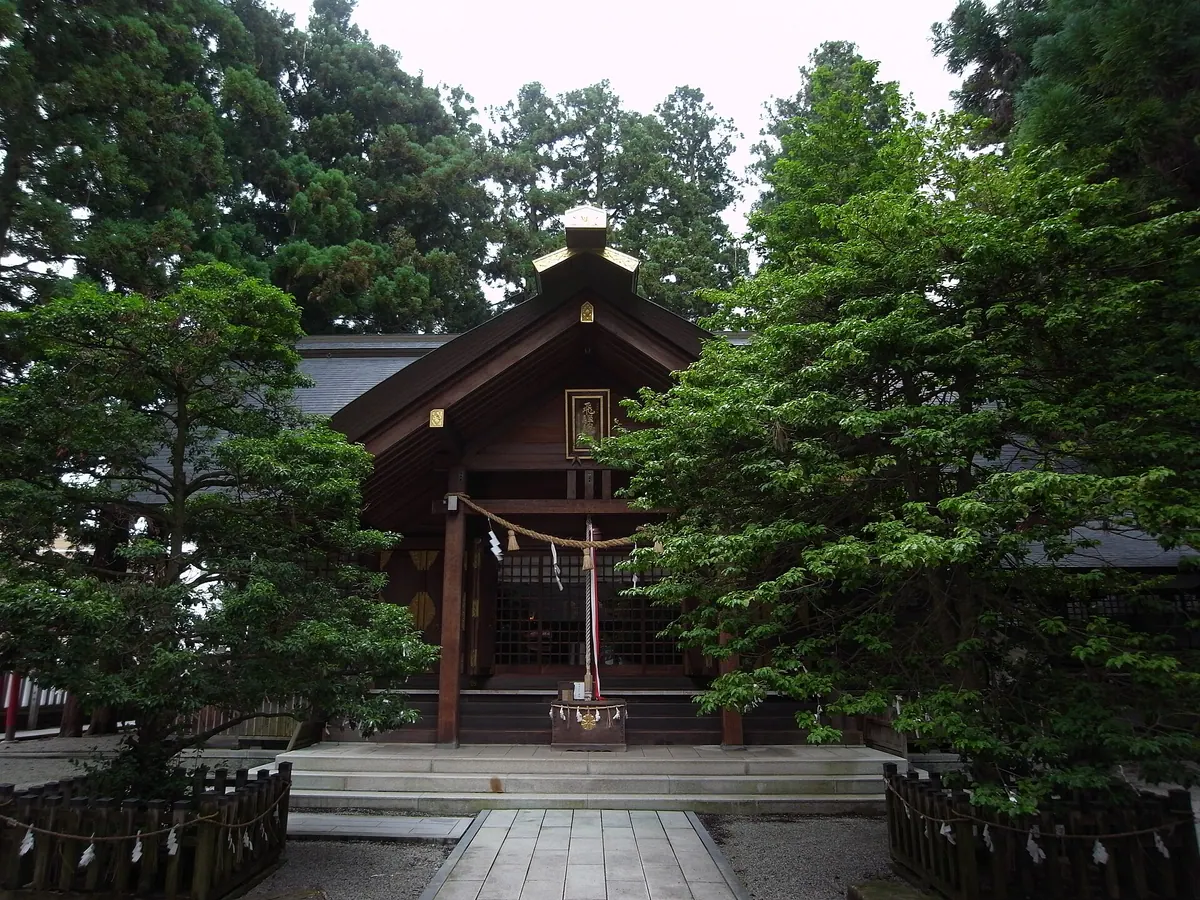 Hida-Soja
