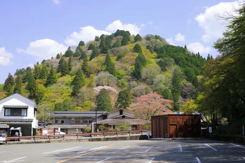 Mount Iimori
