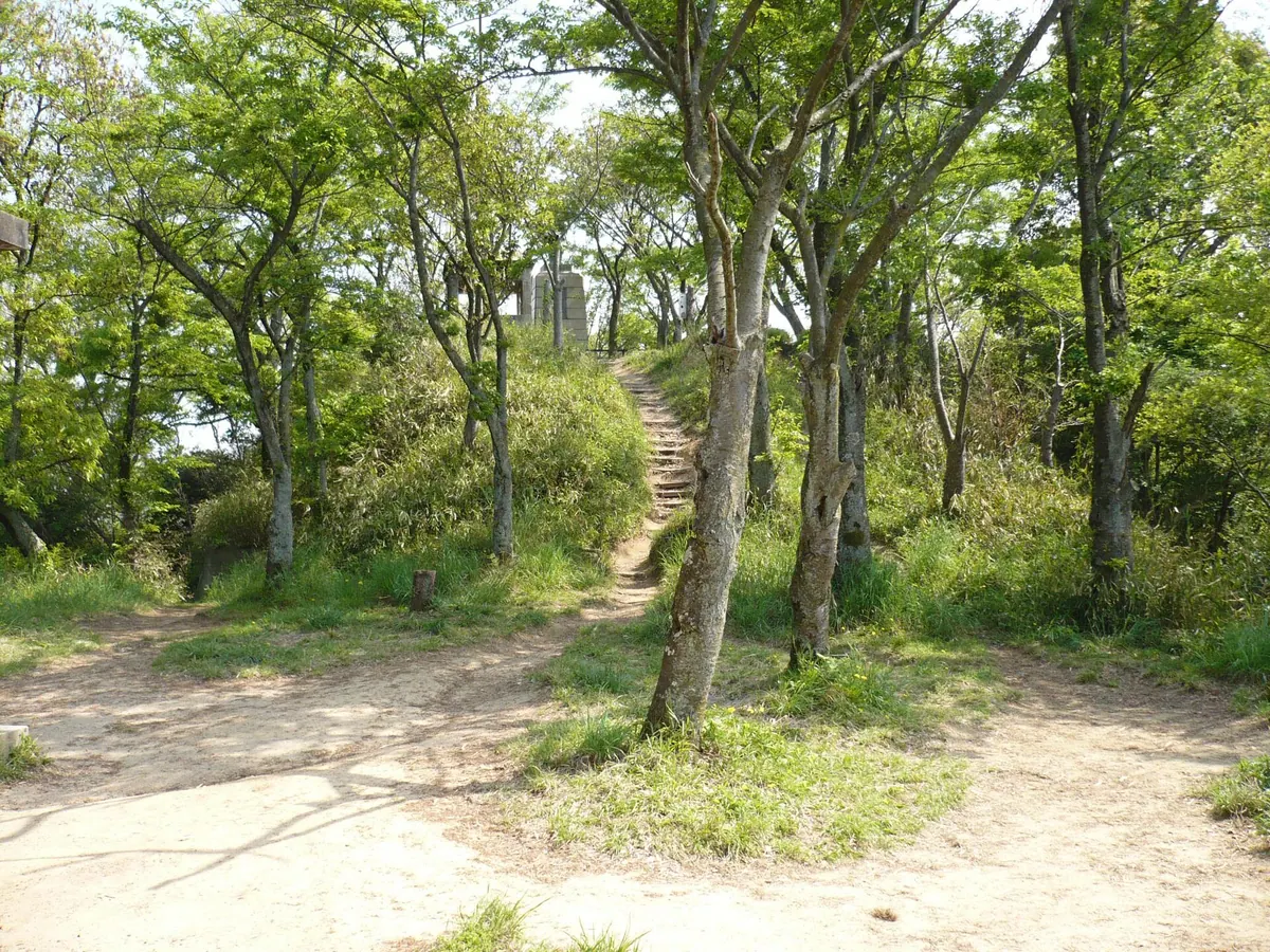 Iimoriyama Castle