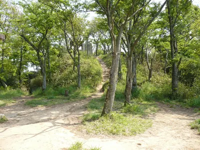 Iimoriyama Castle
