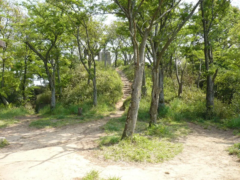 Iimoriyama Castle