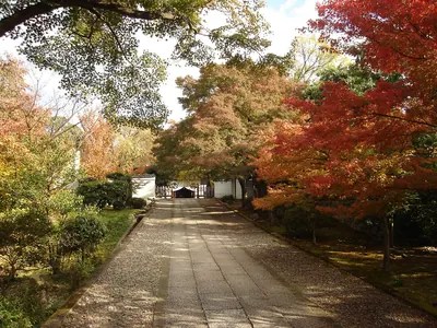Yōgen-in Temple