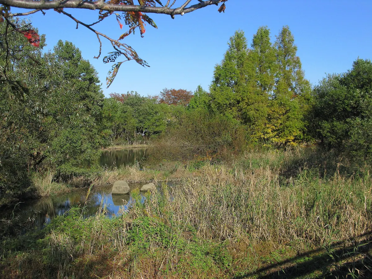Kandori Park