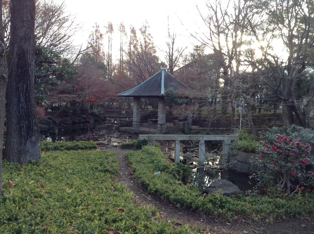 Mabashi Park