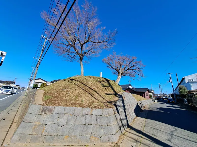 Kisai Castle