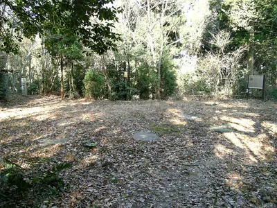Takayasu Castle