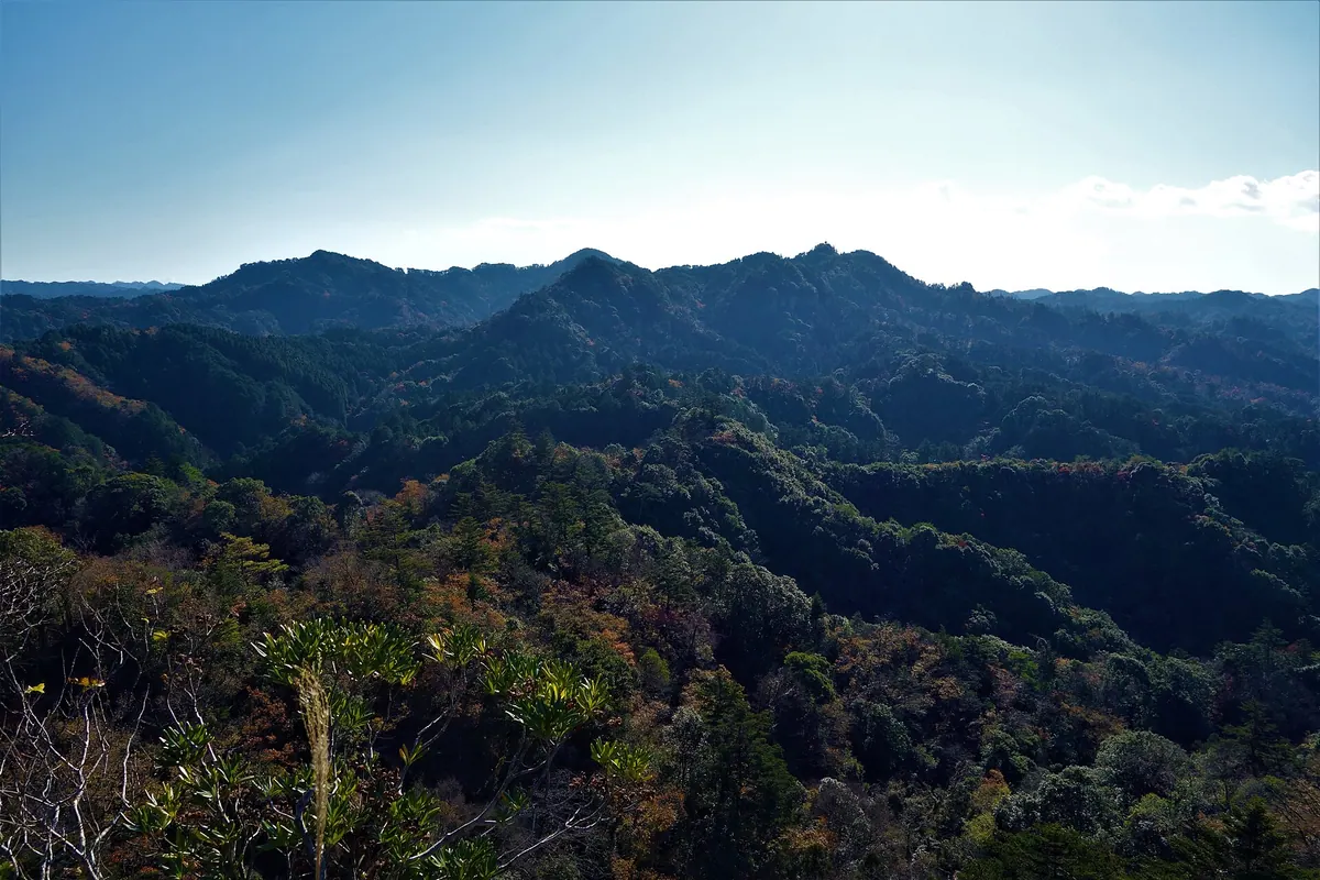 Mount Takago