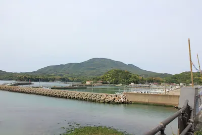 Mount Kōyama