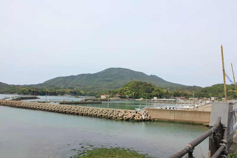 Mount Kōyama