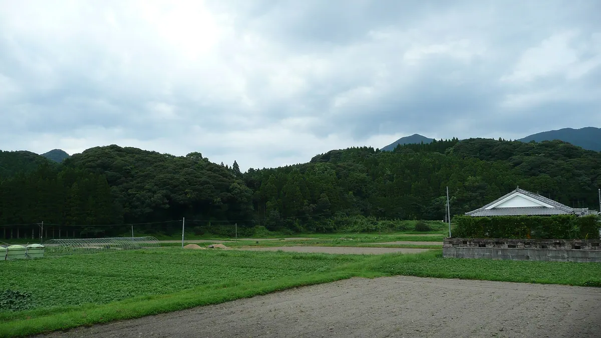 Kōyama Castle
