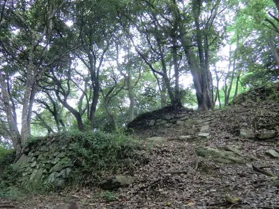 Kōnomine Castle