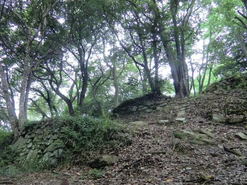 Kōnomine Castle
