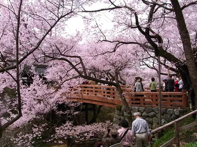 Takatō Castle Site Park