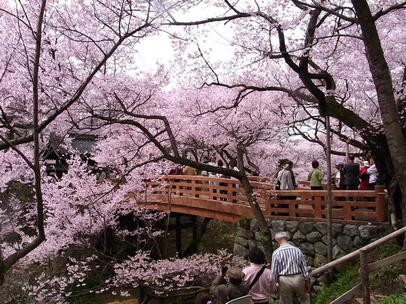 Takatō Castle Site Park